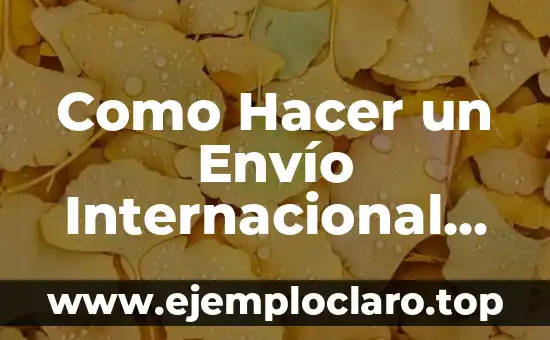 ¿Qué es el Transporte Internacional de Mercancías? | Explicación Detallada 4 Como Hacer un Envío Internacional por Correos de México