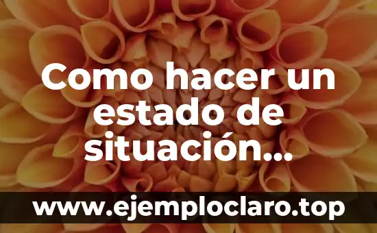 Como hacer un estado de situación financiera bajo NIIF