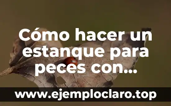 C贸mo hacer una cascada de piedra natural 4 C贸mo hacer un estanque para peces con cascada