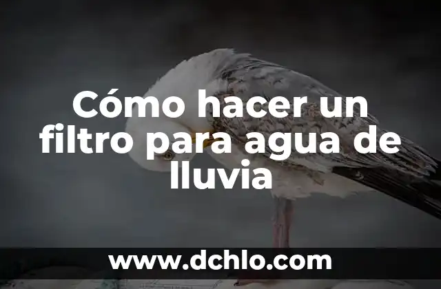 Como hacer cobertores de garrafón de agua 3 Cómo hacer un filtro para agua de lluvia