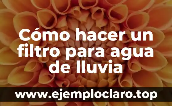 Cómo hacer un filtro para agua de lluvia