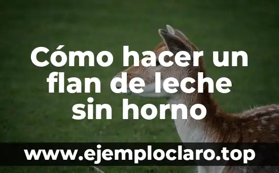 Cómo hacer un flan de leche sin horno