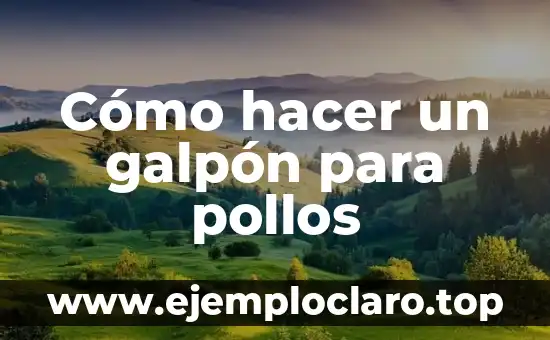 Cómo hacer un galpón para pollos