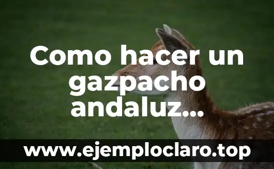 Como hacer un gazpacho andaluz tradicional paso a paso