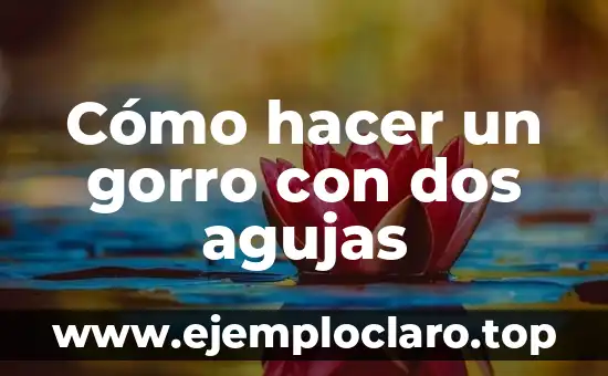 Cómo hacer un gorro con dos agujas
