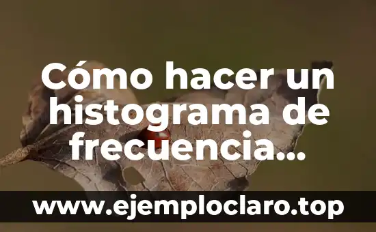 ¿Frecuencia y Ritmo Cardiaco son lo Mismo? Descubre la Verdad 3 Cómo hacer un histograma de frecuencia relativa en Excel