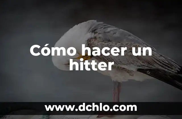Cómo Hacer Resonancia Magnética 3 Cómo hacer un hitter