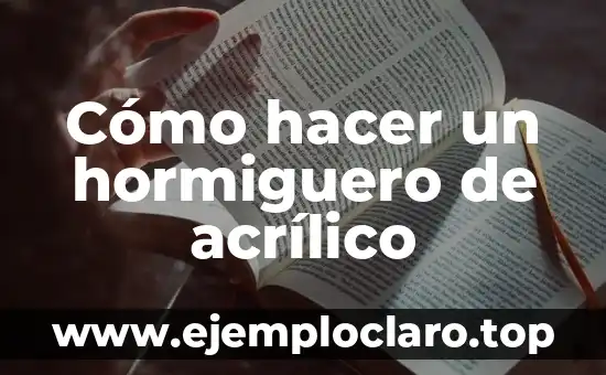 Cómo hacer un hormiguero de acrílico