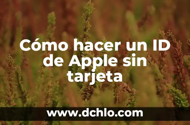 Como hacer funcionar tarjeta RX 3870 en Windows 10.1 7 Cómo hacer un ID de Apple sin tarjeta
