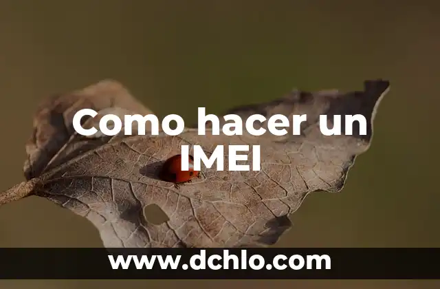 C贸mo hacer para que no me importe nada 7 Como hacer un IMEI