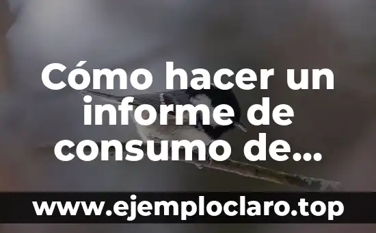 Cómo hacer aceite de linaza para consumo 8 Cómo hacer un informe de consumo de combustible