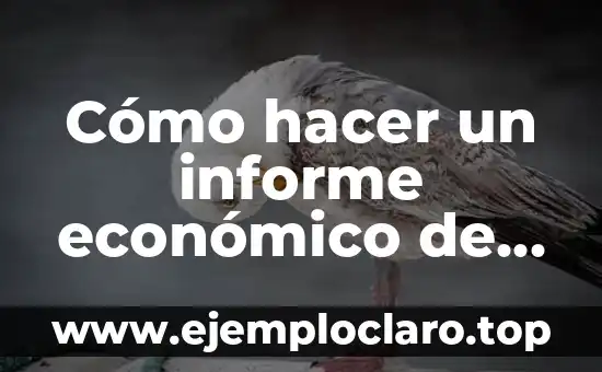 Cómo hacer un informe económico de ingresos y egresos