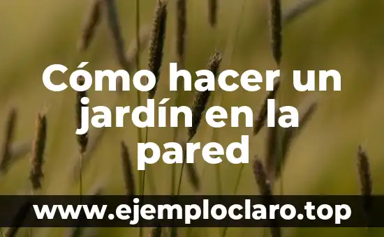 El significado de la desecación de una pared 3 Cómo hacer un jardín en la pared