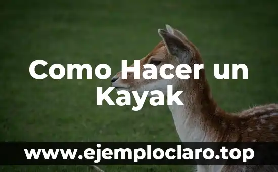 Como Hacer un Kayak