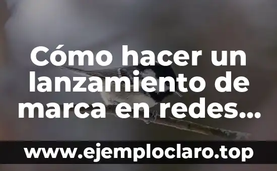 Instalación de Equipos y Redes: Todo lo que Necesitas Saber 8 Cómo hacer un lanzamiento de marca en redes sociales