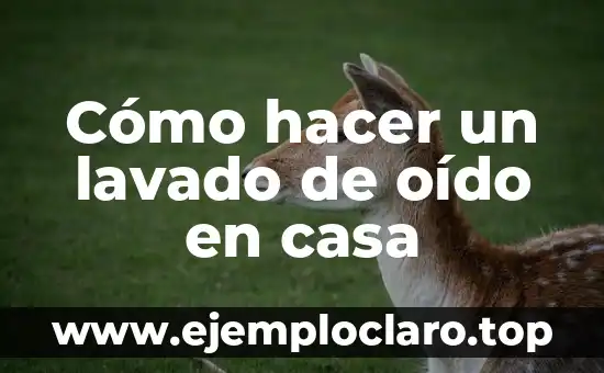 Como hacer maqueta del oido 4 Cómo hacer un lavado de oído en casa