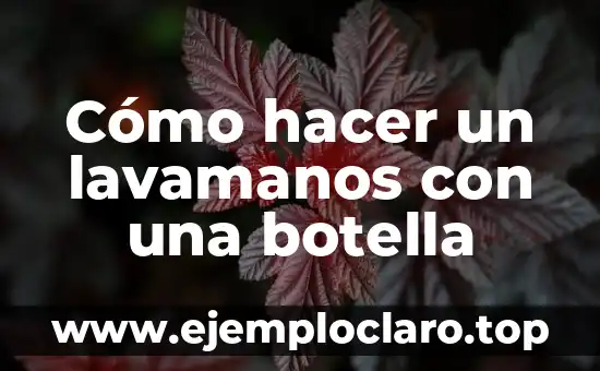 Significado de la Dureza de una Botella 3 Cómo hacer un lavamanos con una botella