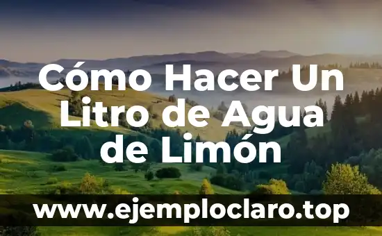 Cómo Hacer Un Litro de Agua de Limón