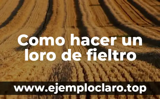 Como hacer un loro de fieltro