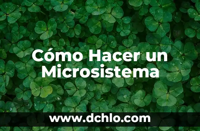 C贸mo hacer para que no me importe nada 8 C贸mo Hacer un Microsistema