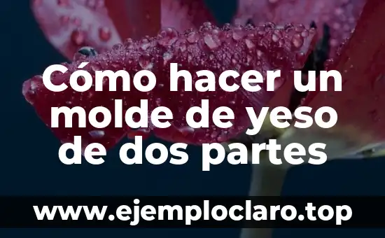 Significado de la Descarga de Partes Individuales 7 Cómo hacer un molde de yeso de dos partes