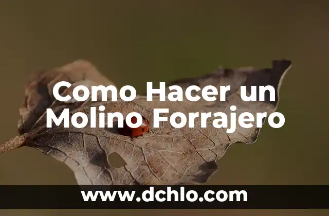 El Simbolismo del Molino de Flores 3 Como Hacer un Molino Forrajero