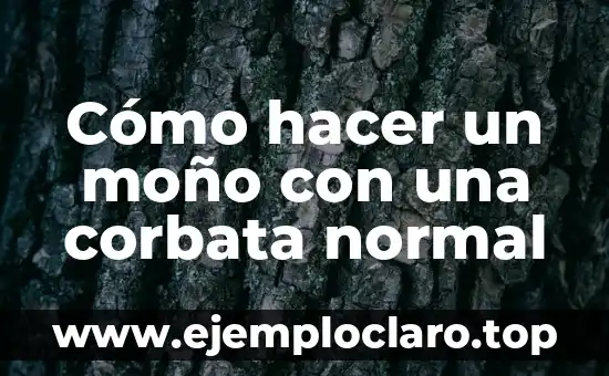 Cómo hacer una corbata para niño 6 Cómo hacer un moño con una corbata normal