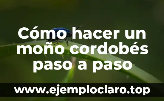 Cómo hacer un moño cordobés paso a paso