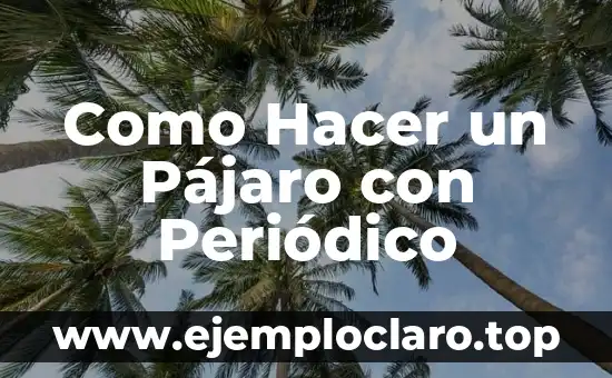 Como Hacer Dieras 5 Como Hacer un Pájaro con Periódico