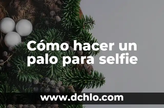 C贸mo hacer color rosa palo 5 C贸mo hacer un palo para selfie