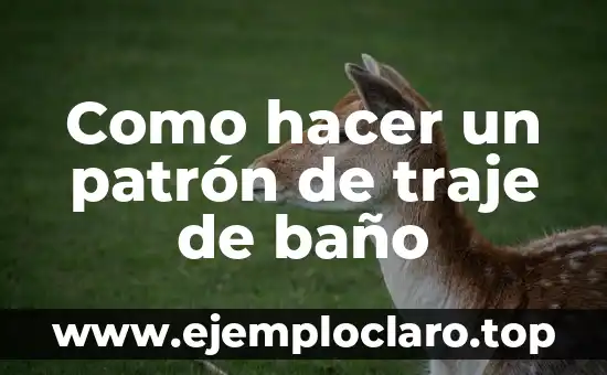 Cómo hacer el patrón de una manga corta 6 Como hacer un patrón de traje de baño