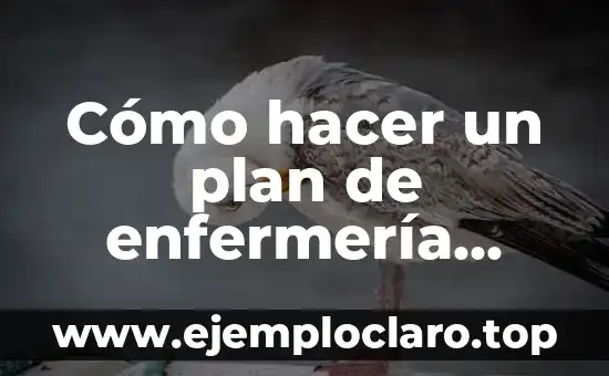 Intervenciones de enfermería NIC significado 8 Cómo hacer un plan de enfermería paso a paso