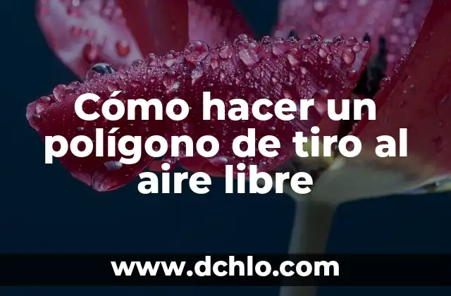 Como hacer dardos para tiro al blanco caseros 6 Cómo hacer un polígono de tiro al aire libre