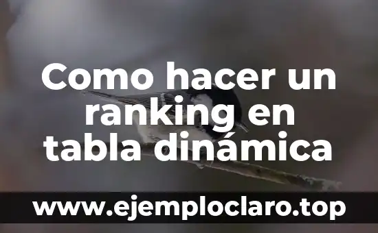 Cómo hacer bebederos de agua para pájaros 6 Como hacer un ranking en tabla dinámica