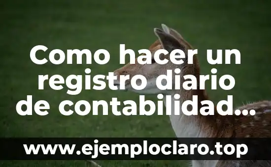 ¿Qué es la devolución de ventas en contabilidad? 6 Como hacer un registro diario de contabilidad en Excel