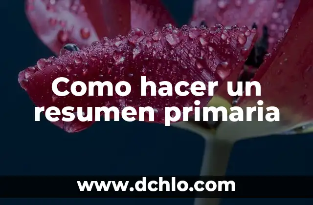 Como Hacer Cestos de Cuerda 7 Como hacer un resumen primaria