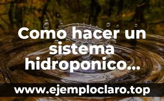Significado del Desgaste en el Sistema de Frenos 7 Como hacer un sistema hidroponico casero paso a paso