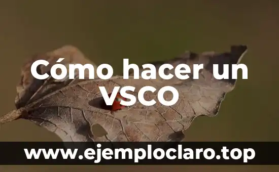 Cómo hacer un VSCO