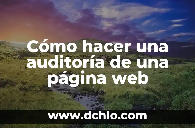Cómo Añadir una Página en Documentos de Google: Guía Detallada 5 Cómo hacer una auditoría de una página web