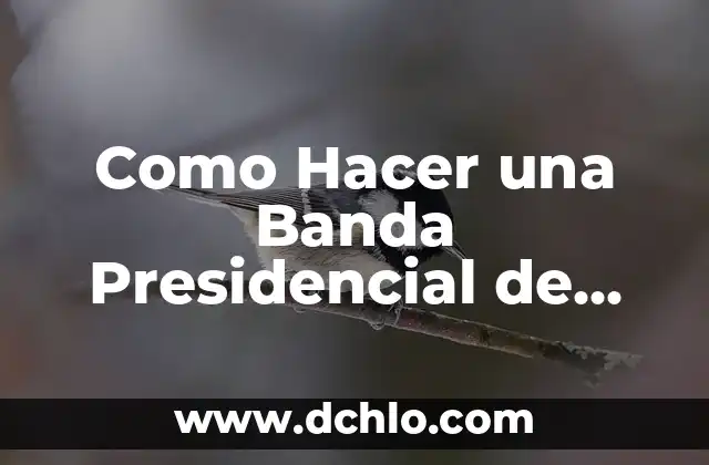 Música de Banda: Significado y Características 4 Como Hacer una Banda Presidencial de Papel
