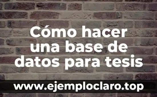 Cómo hacer las conclusiones y recomendaciones en una tesis 7 Cómo hacer una base de datos para tesis