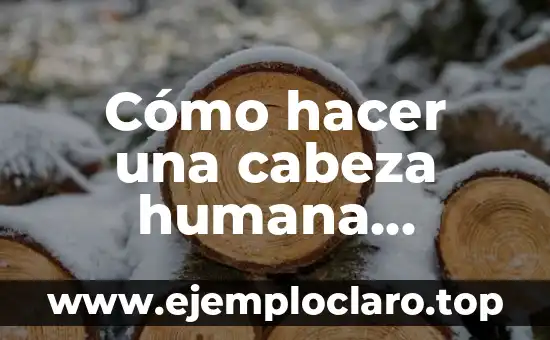 Excretar - Un Viaje al Corazón de la Fisiología Humana 6 Cómo hacer una cabeza humana tamaño real