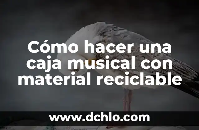 Cómo hacer un esqueleto humano con material reciclable fácil 4 Cómo hacer una caja musical con material reciclable
