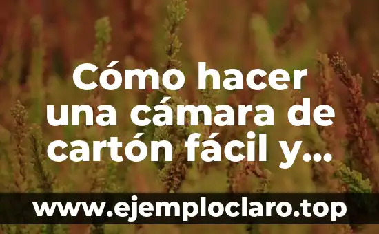 Cómo hacer una cámara de cartón fácil y rápido