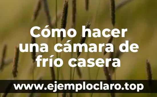 Cómo hacer una cámara de frío casera