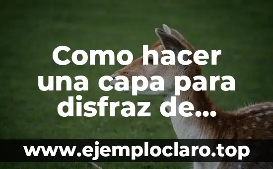 Como hacer una capa para disfraz de superhéroe