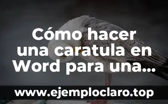 Descubriendo el significado diferente de una monografía 7 Cómo hacer una caratula en Word para una monografía