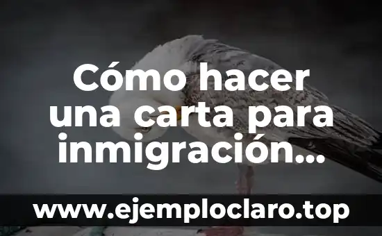 Inmigración significado de la ONU 3 Cómo hacer una carta para inmigración para mi esposo