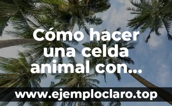 Cómo hacer un adorno con botellas de plástico 8 Cómo hacer una celda animal con plato de plástico