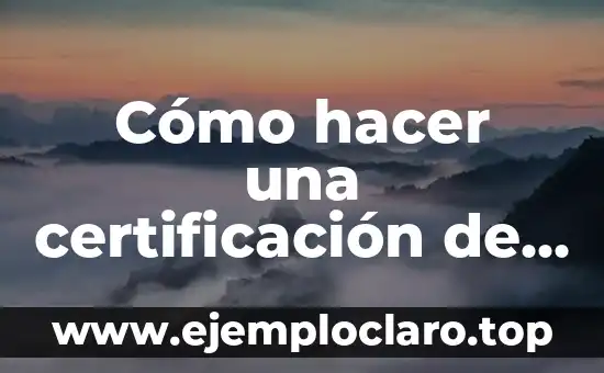 Cómo hacer una certificación de ingresos de un monotributista